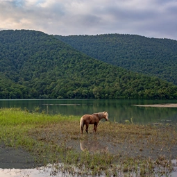 Oghuz and Khalkhal Waterfalls Tour from Gabala